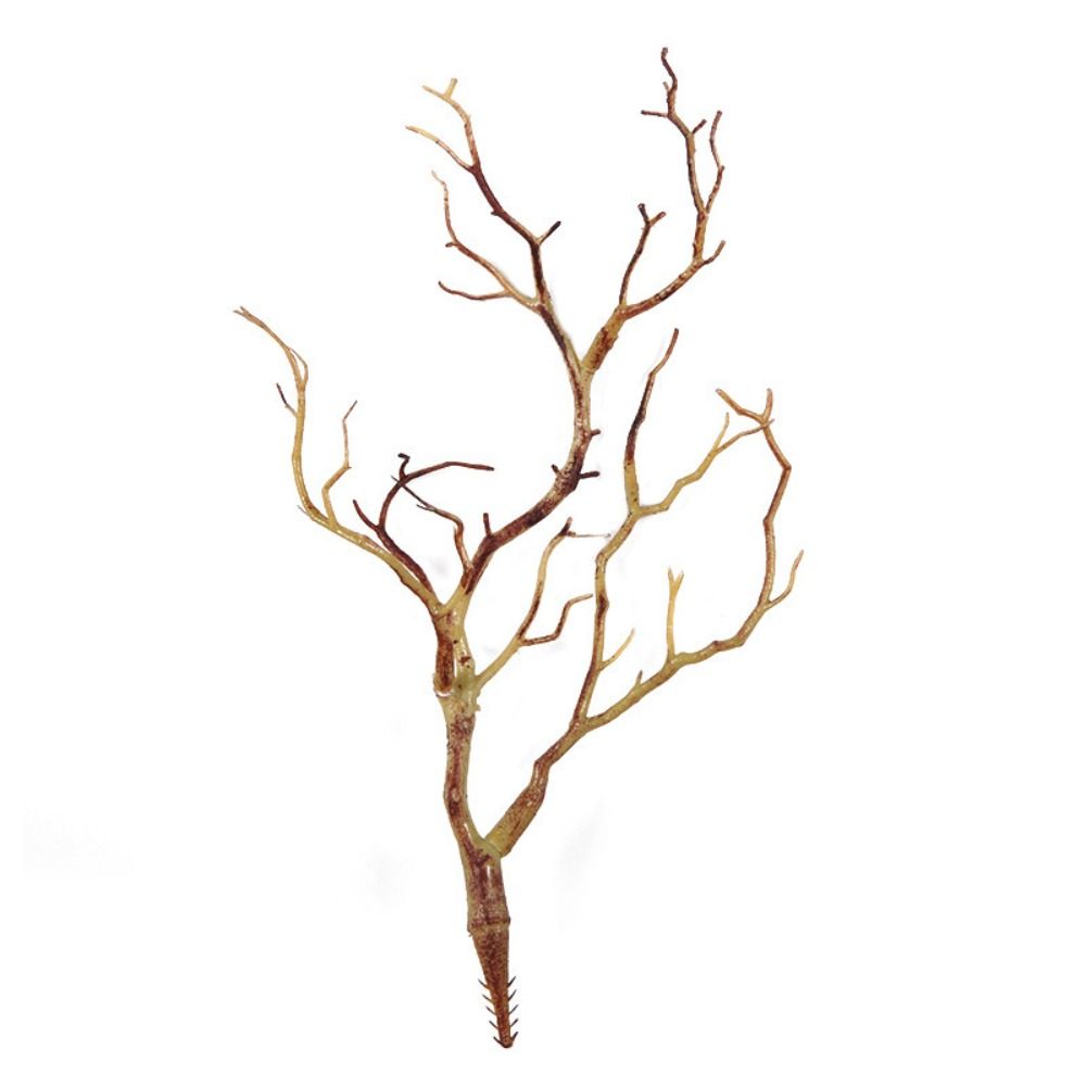 نباتات اصطناعية بلاستيكية جديد - مراجعة Sphagnum Moss Dry وسعره