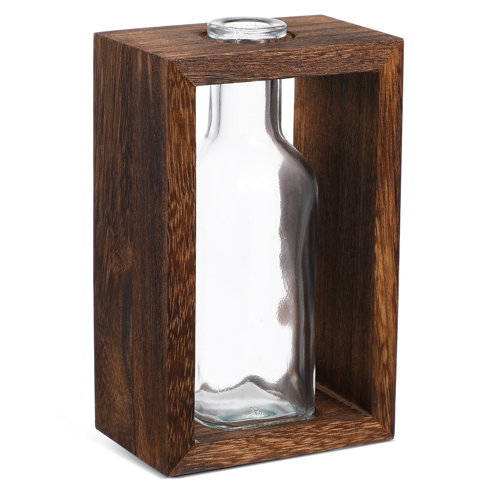 مجموعة واحدة من محطة تكاثر الن - مراجعة Propagation Station Vase وسعره