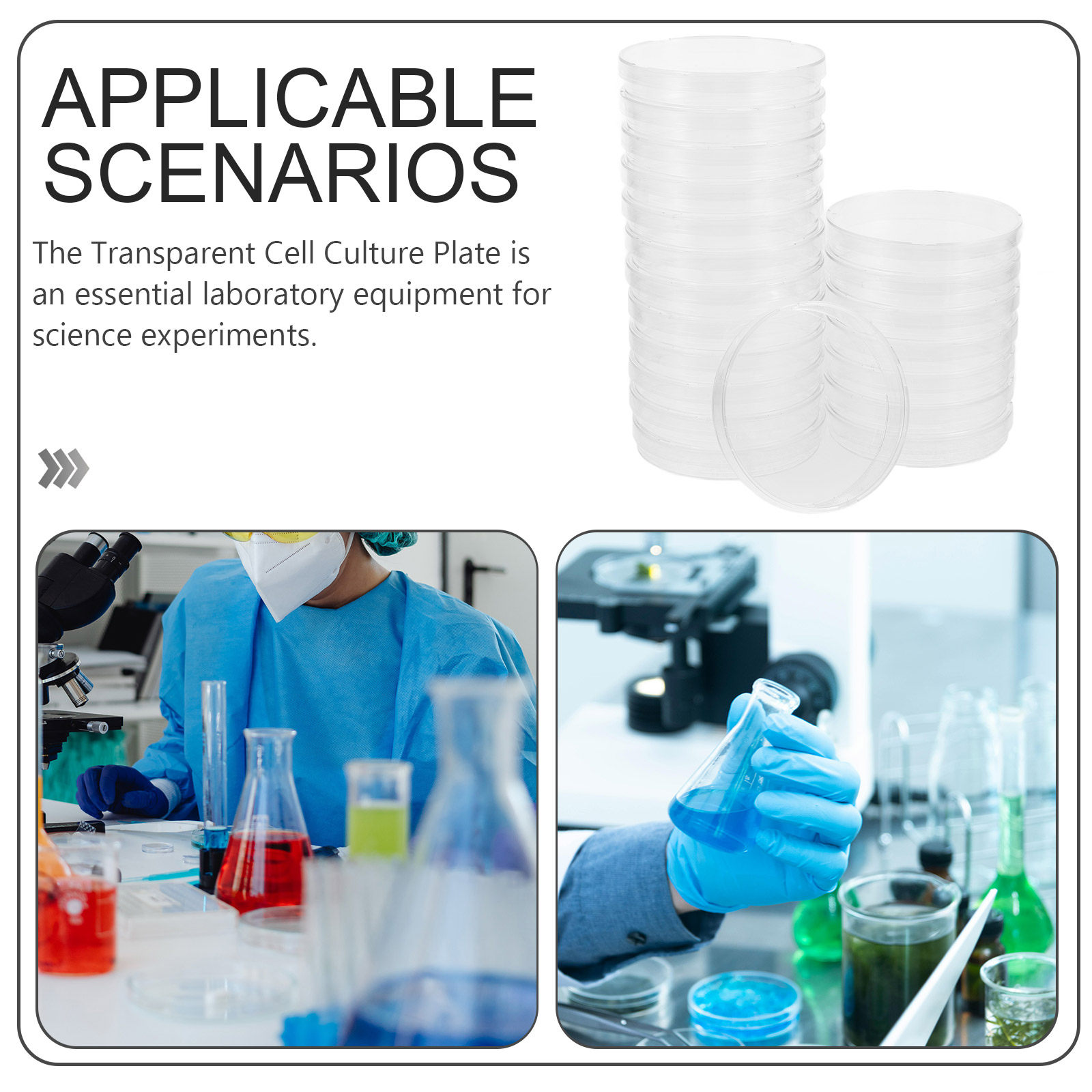 20 قطعة من أطباق بتري المعقمة  - مراجعة Agar Tissue Culture وسعره
